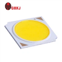 Flip Chip cob DIRIJE 20W 30W 40W 50W