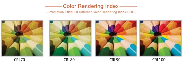 product-741-279