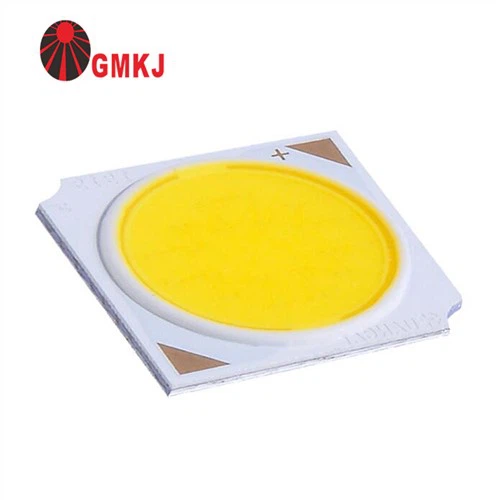 5W coB dirije Chip pou dirije limye anpoul