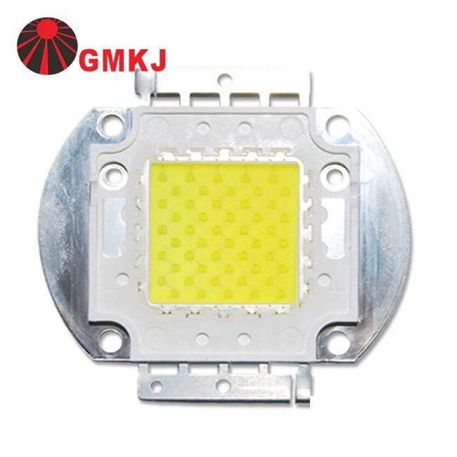 100W dirije modil COB Chip